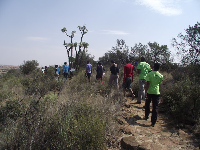 We encourage all visitors to walk the two Motshetshe and garden view trails, which will show you the beauty and diversity of our Free State plants.