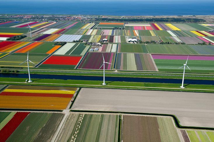 10.An Aerial Tour of Tulip Fields in the Netherlands