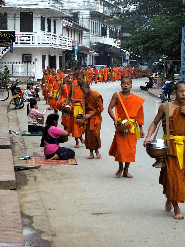 alms giving ceremony luang prabang morning 2