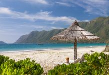 10 reasons why you should visit Con Dao Islands Con Dao Island. One of the best islands in Vietnam