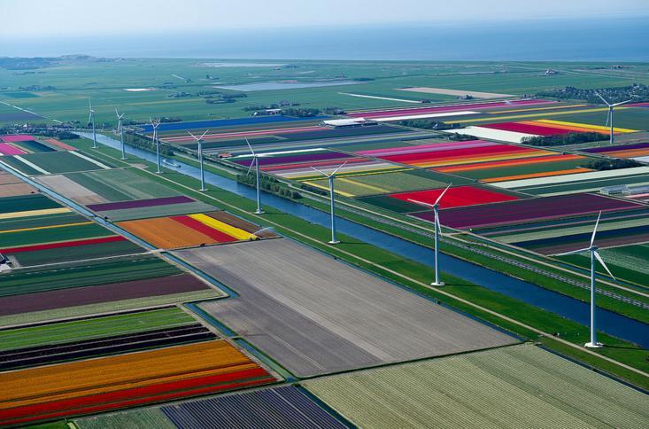 2.An Aerial Tour of Tulip Fields in the Netherlands