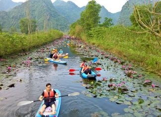 hanoi spring
