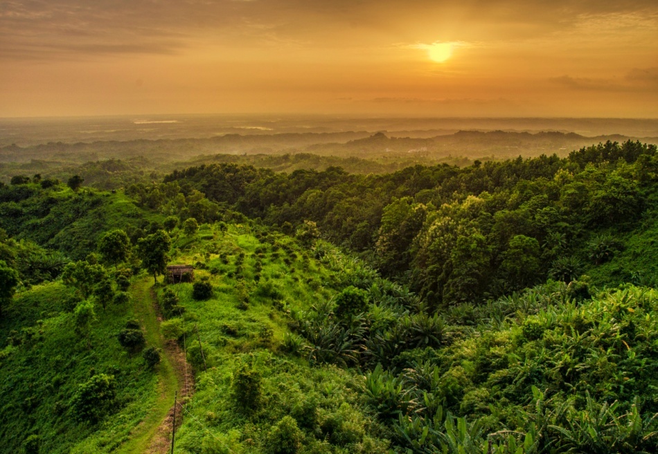 Image by Saad Rahman