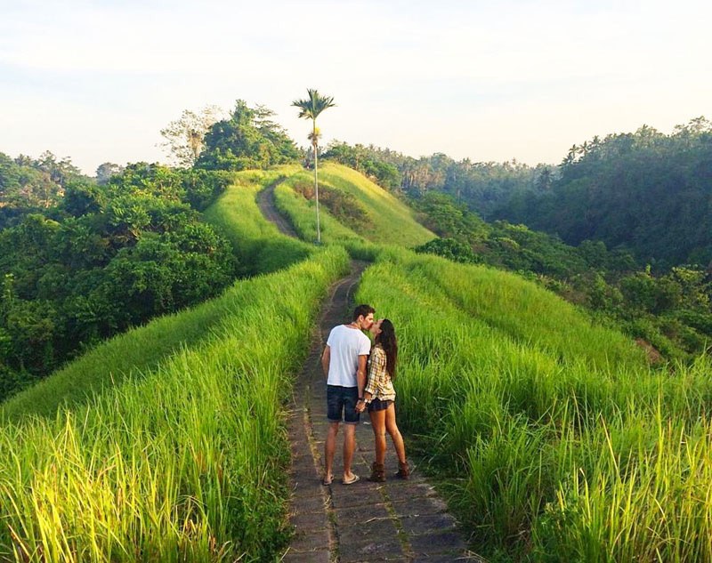 Campuhan Ridge Walk