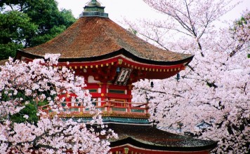 Kyoto cherry blossom 2026 forecast — The dates & 9+ best place to see cherry blossoms in Kyoto kiyomizu-dera temple