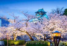 Cherry blossom Osaka 2026 forecast — 13+ best place to see cherry blossoms in Osaka Cherry blossoms in Osaka castle.