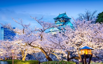 Cherry blossom Osaka 2026 forecast — 13+ best place to see cherry blossoms in Osaka Cherry blossoms in Osaka castle.