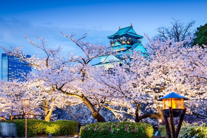 Cherry blossoms in Japan 10 Cherry blossoms in Osaka castle.