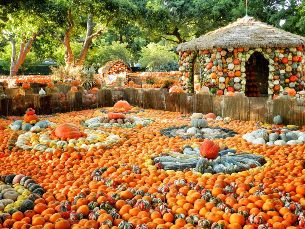 Dallas Arboretum and Botanical Garden, Dallas