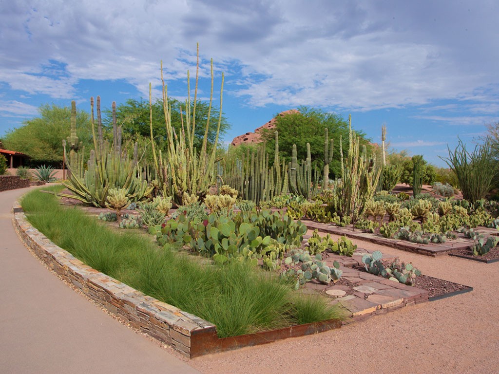 Dersert Botanical Garden, Phoenix