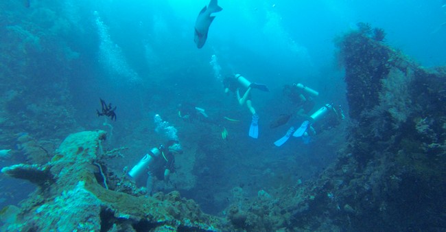 Diving with friends