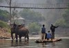 Elephant tours and bamboo rafting in Thailand CREDIT ALAMY