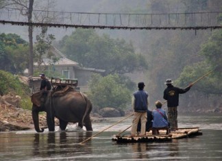 Elephant tours and bamboo rafting in Thailand CREDIT ALAMY