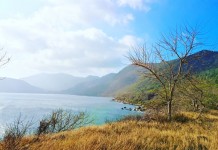 Fading grass fields of Con Dao - Vietnam