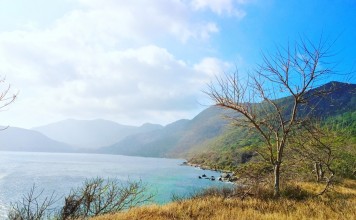Fading grass fields of Con Dao - Vietnam