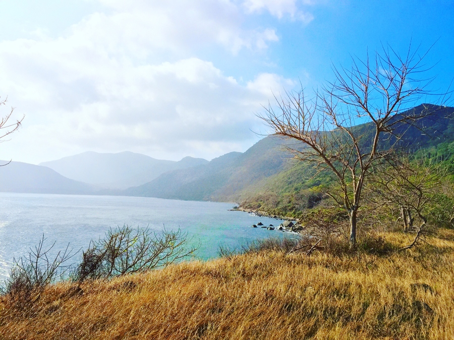 Fading grass fields of Con Dao - Vietnam