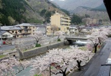 Yamagata travel blog — The fairyland of cherry blossoms and Ramen noodles Glorious cherry blossoms along the stream
