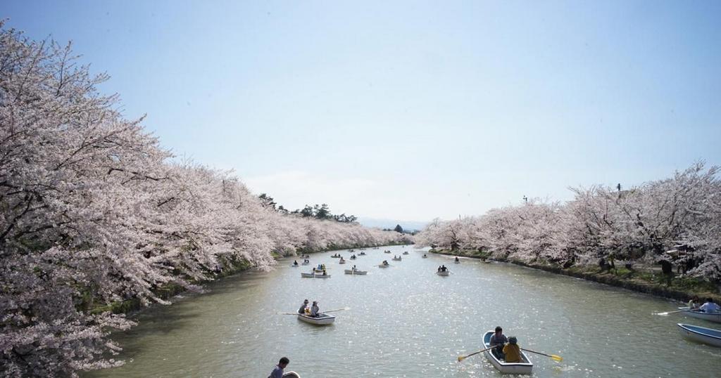 Tourists on their boat admiring the cherry blossom season Image credits: Ryan WH