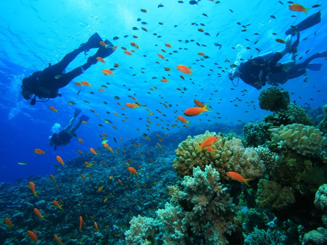 Tourists snorkeling in Koh Rong Photo: kohrongsamloemisland