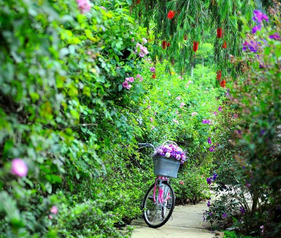 Romantic atmosphere in Ma Rung Lu Quan. Photo: facebook Ma Rung Lu Quan
