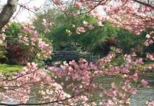 12 best botanical gardens in the United States