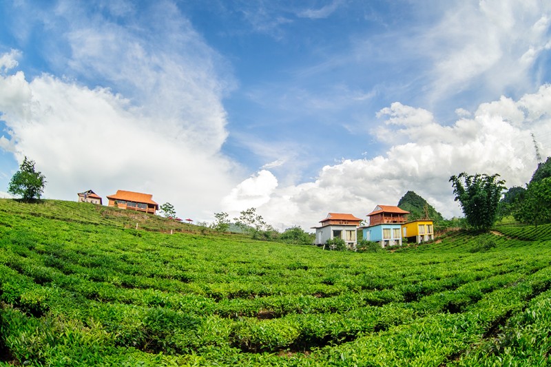 Moc Chau Arena Village is located in Moc Chau farmtown