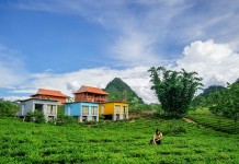 Moc Chau Arena Village — Sleep in a bungalow container and behold the lush green tea fields
