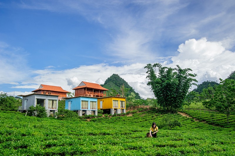 Moc Chau Arena Village located on a nice small hill. Photo: mocchauarena.com