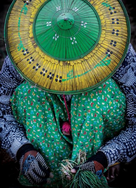 Onion Farmer on the Chindwin River