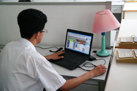 Paektusan Academy of Architecture, Pyongyang prof