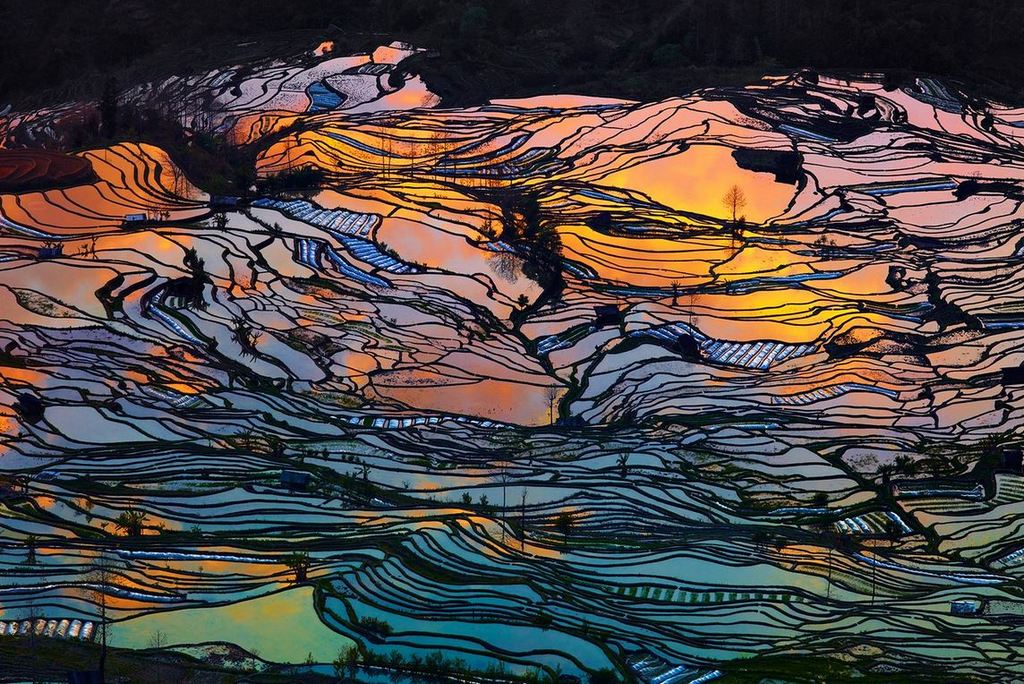 Rice Terraces of Yuanyang 11