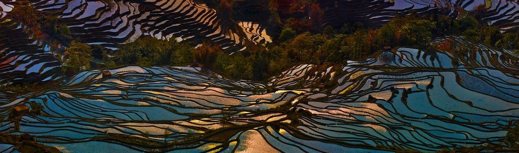 Rice Terraces of Yuanyang 8