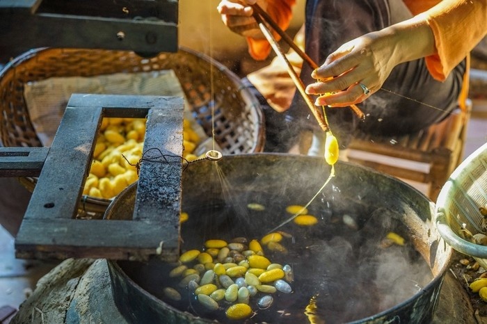 Seel reeling process_Hoi An silk village tour guide_ source mytour.vn