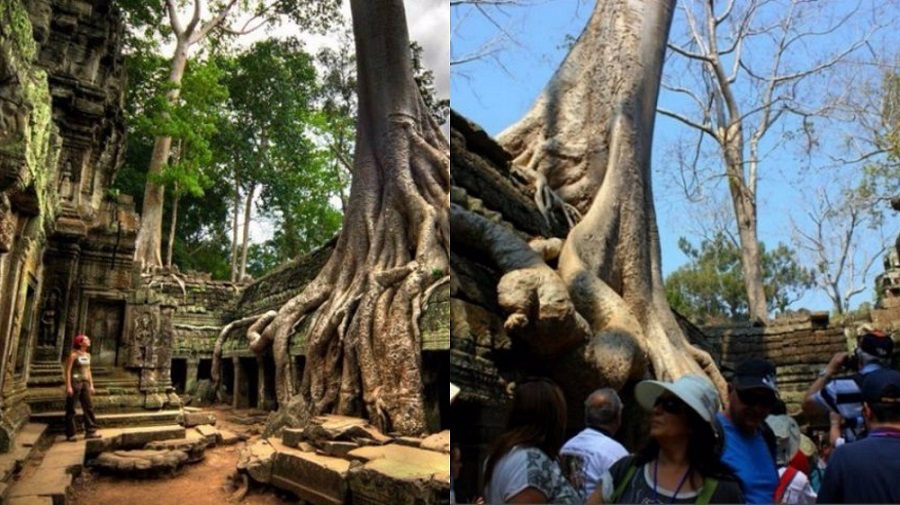 Siem Riep - Cambodia