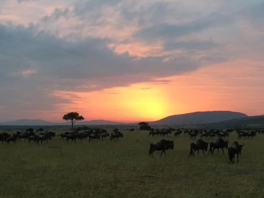 Snapshot of my most peaceful moment: the Masai Mara at sunrise