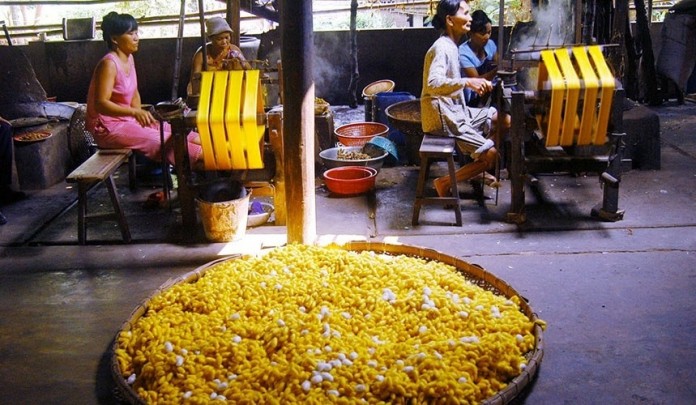 The devoted artisans_Hoi An silk village tour guide_ souce my tour.vn