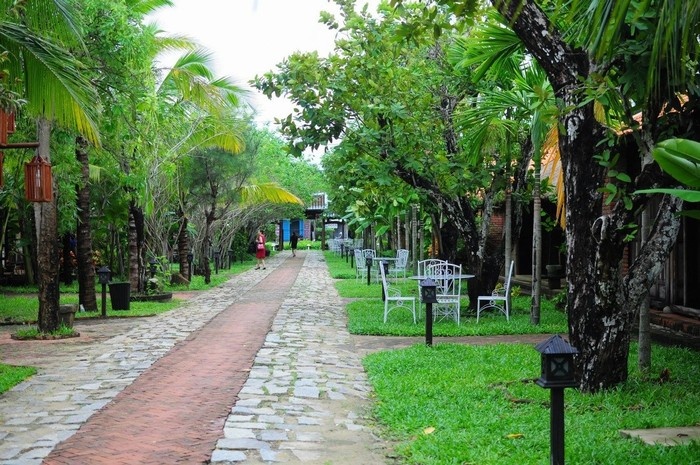 The trees along the walkway_Hoi An Silk village tour guide_my tour.vn