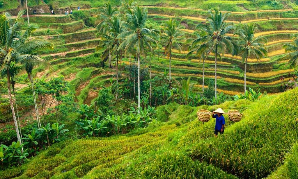 Ubud, Indonesia 10 most popular place