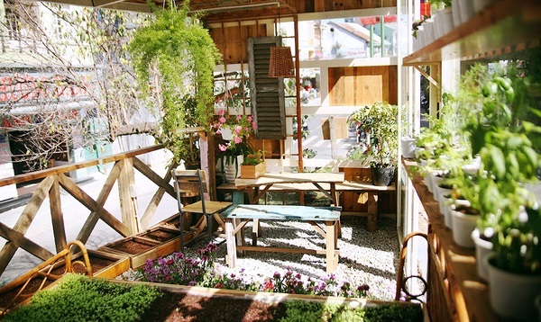 An cafe with many vegetables, plants and flowers. Photo: kenh14