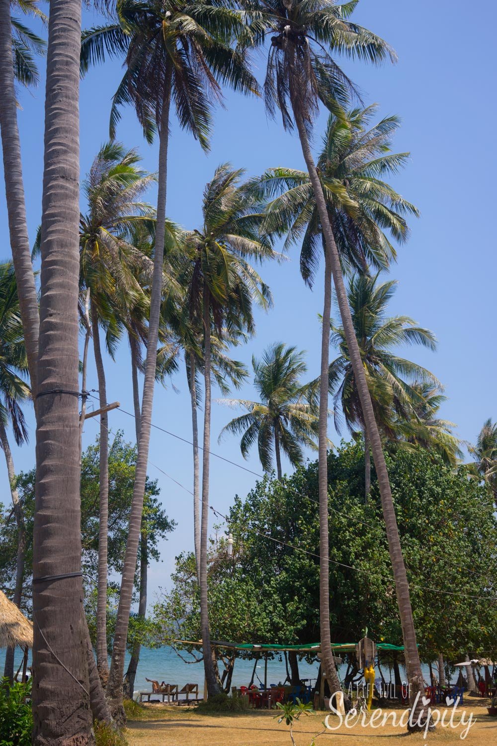 beautiful scenery koh tonsay cambodia