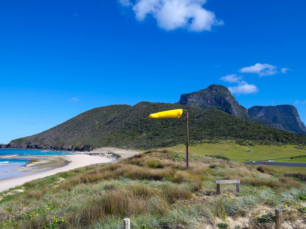 blinky each lord howe island australia