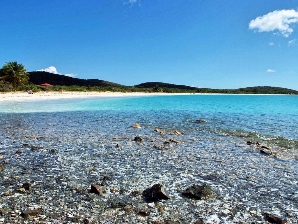 blue beach vieques puerto rico