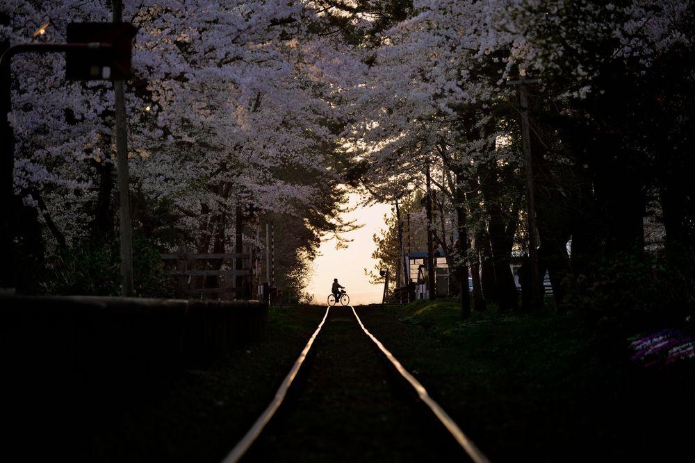 A spring evening Photo: Sho Shibata