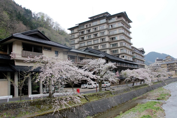 cherry blossoms along serence stream Yamagata Japan