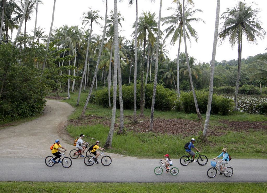 A cycling trip in Pulau Ubin could be a remarkable experience Photo: todayonline.com 
