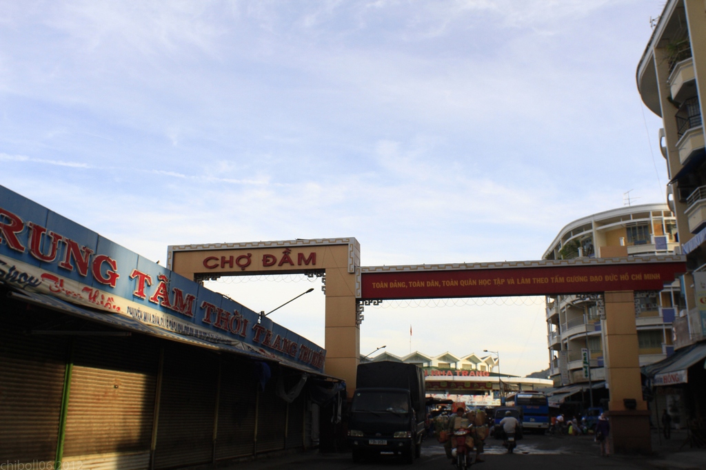 dam market