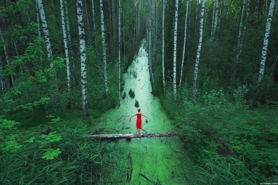 enormous and incredible the world-16