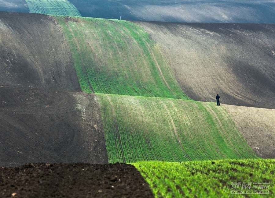 enormous and incredible the world-2