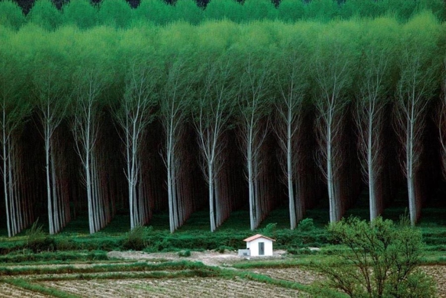 enormous and incredible the world-22