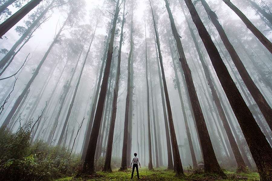 enormous and incredible the world-23